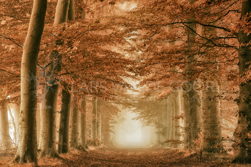 Lars Van De Goor Photography Art In Love With Fall