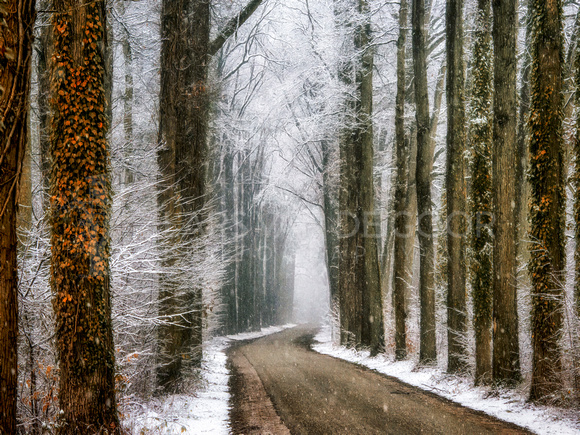 Winter in Velhorst